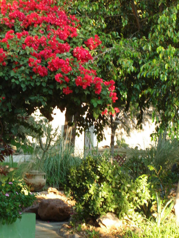 Corona Guest Farm Exterior foto